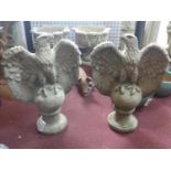 A pair of reconstituted stone opposing eagle statues, perched on balls and raised on socle bases,