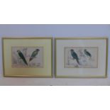 A pair of gilt-framed and glazed, 19th century hand-coloured prints of exotic parrots perched on