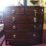 A Georgian figured mahogany bow fronted chest of drawers, with brass lion head handles, raised on
