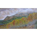 A framed and glazed oil on paper large landscape study depicting silver birches and mountains,