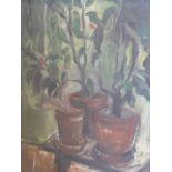 Muriel Slocombe (20th century British), Still life of plants in terracotta pots, oil on board,