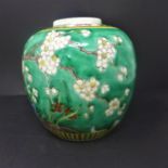 A 19th century Chinese Kangxi style ginger jar, polychrome decorated with birds on blossoming trees,