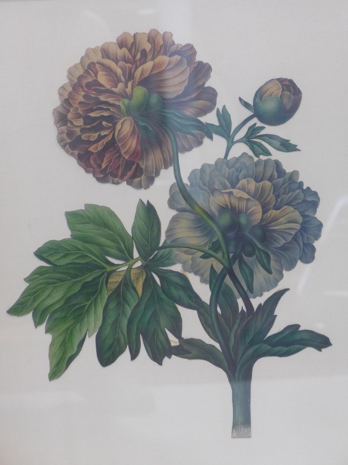 Margaret Stevens, decoupage of flowers, label to verso 'Painted by Margaret Stevens in the year 1847 - Image 2 of 3