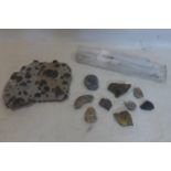 A collection of rock crystals and fossils