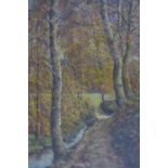 Burchard Theodoor Paets (1872-1938), Autumn Forest, oil on canvas, signed lower right, 47 x 43cm