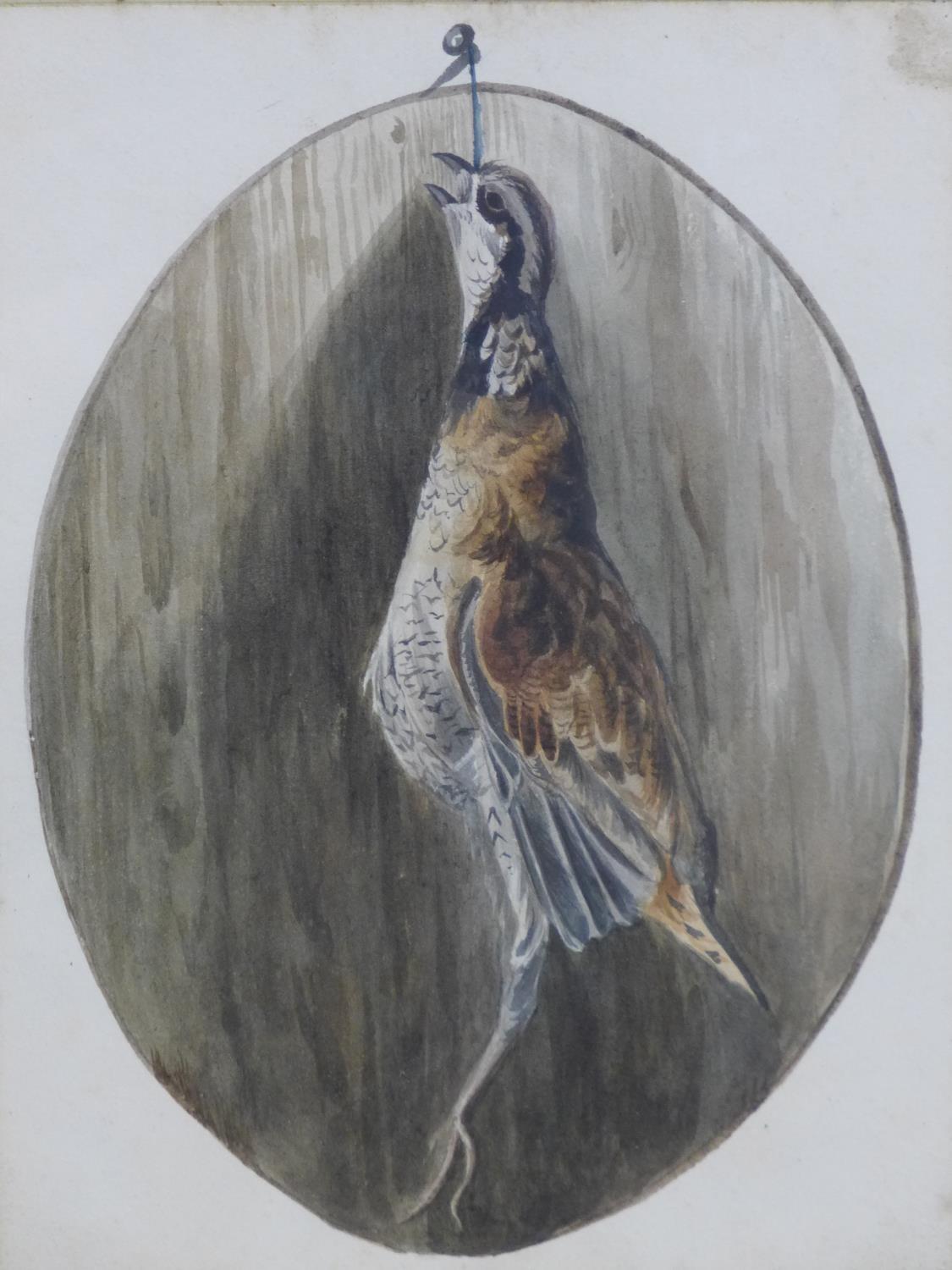 A pencil and watercolour drawing of a hanging game bird