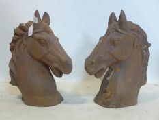 A pair of cast iron gate piers modelled as horse heads, H.47cm (2)