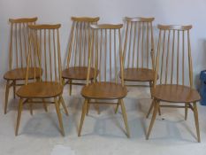 A set of six 1960's Ercol Goldsmith elm dining chairs, stamped to bases