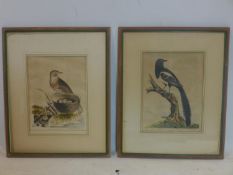 A pair of 18th century hand coloured copper plate engravings, published by Thomas Lord, of a black
