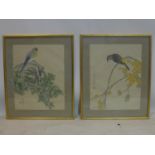 A pair of 20th century Chinese watercolours on silk, signed, 39 x 30cm