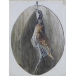 A pencil and watercolour drawing of a hanging game bird