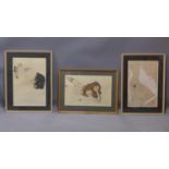 After Egon Schiele, three prints of nude ladies, framed and glazed, 30 x 46cm
