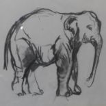 Vanessa Pomeroy, charcoal study of an elephant, unsigned, framed and glazed, 53 x 58cm