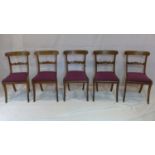 A set of 5 Regency mahogany dining chair