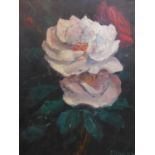 E. Reinbert, Still life of roses, oil on canvas, signed lower right, framed, 26 x 21cm