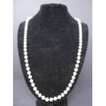 A long fine row of cream-coloured cultured pearls, L: 56cm, 48g