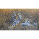 Mark Whittaker (British, b.1964), 'Bengal Tiger', oil on canvas, signed and dated '98 to lower
