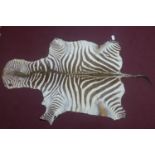 A late 19th century zebra skin rug, naturally brown and cream, 245 x 137cm