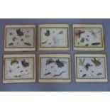 Set of Six Chinese Paintings of Butterflies and Insects, pith paper pasted on silk cloth and paper