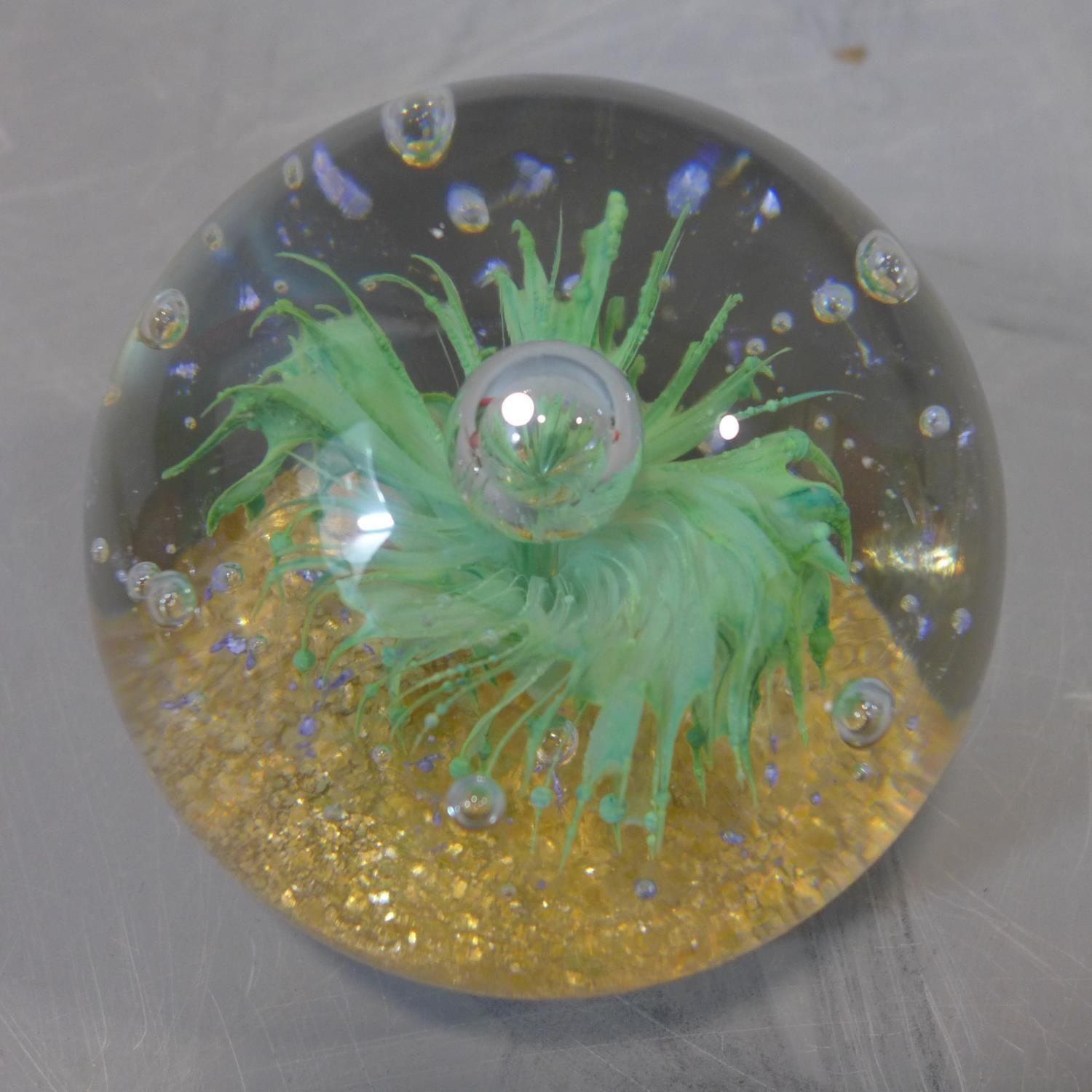 A collection of glass paperweights, to include a fish-shaped turquoise and white paperweight; a - Image 3 of 3