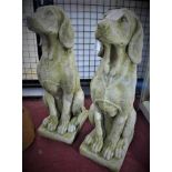 A pair of reconstituted stone seated greyhounds, H.72 W.21 D.27cm