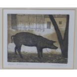Contemporary artist Lucy Wynne, Piglet (brown), etching and aquatint, signed and dated '12',