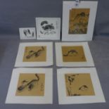 A group of seven Chinese ink paintings representing, cats, pandas and crabs, various sizes
