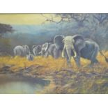 British school 20th century, Herd of elephants, oil on canvas, framed, 75 x 54 cm