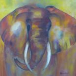 An oil on board of an elephant, signed N. Bruneliere to lower right, 80 x 80cm