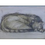 Contemporary British draughtsman, sleeping cat, pencil and watercolour, signed and dated 'G.