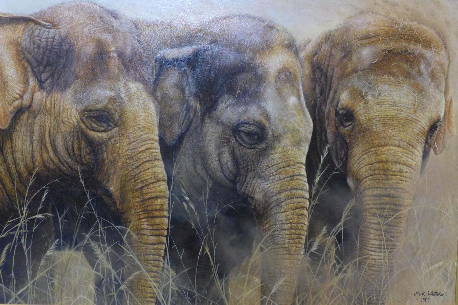 Mark Whittaker (British, b.1964), 'The Young Ones, Three Elephants', acrylic on board, signed and