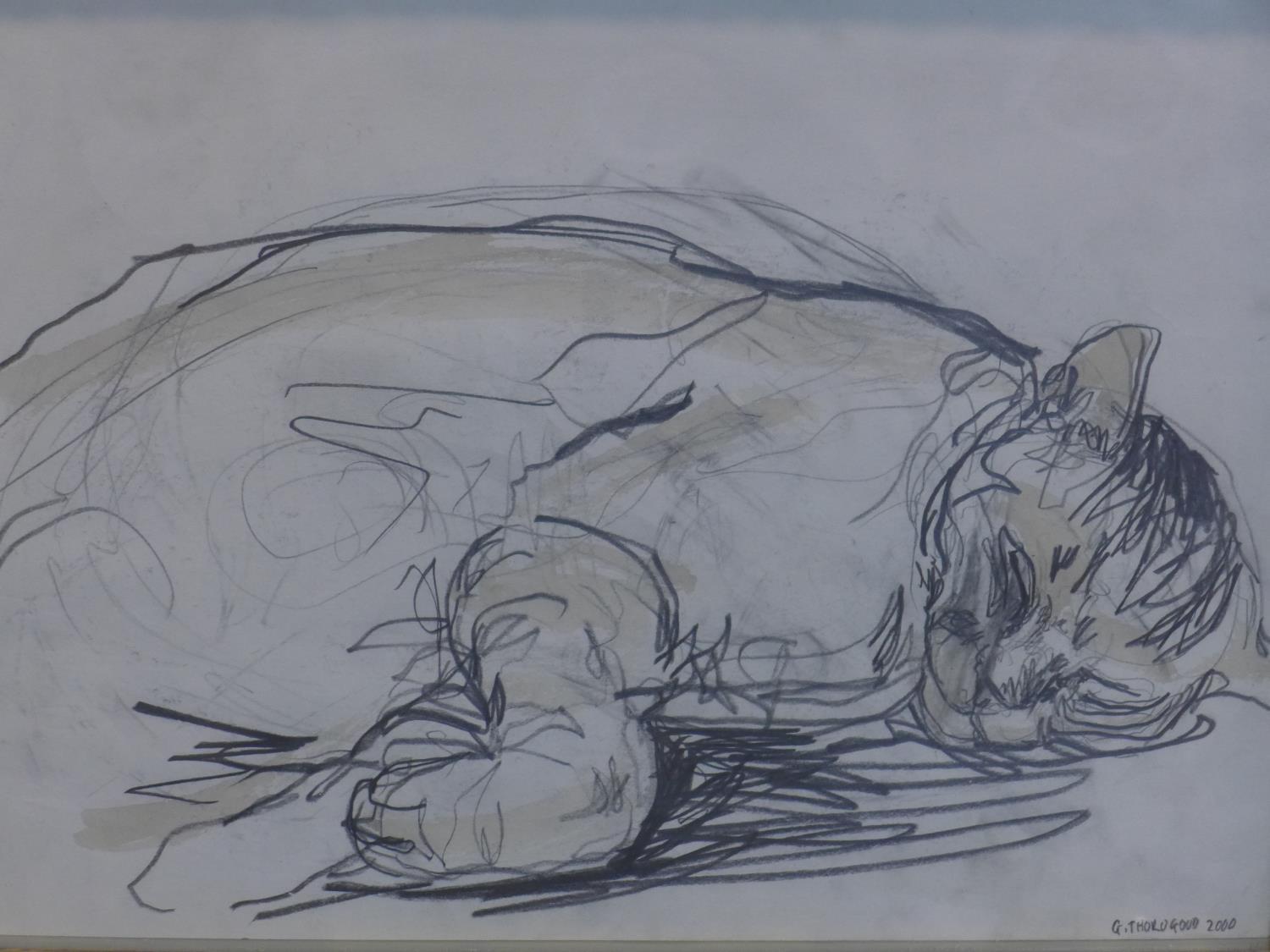 Contemporary British draughtsman, sleeping cat, pencil and watercolour, signed and dated 'G.