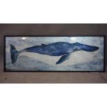 A framed print on glass of a blue whale framed and glazed, 76 x 45 cm