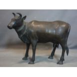 A early 20th century bronze of a cow, H.60 W.70 D.25cm