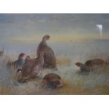 A group of wild grey partridges, reproduction of a watercolour, signed, framed and glazed, 73 x 56