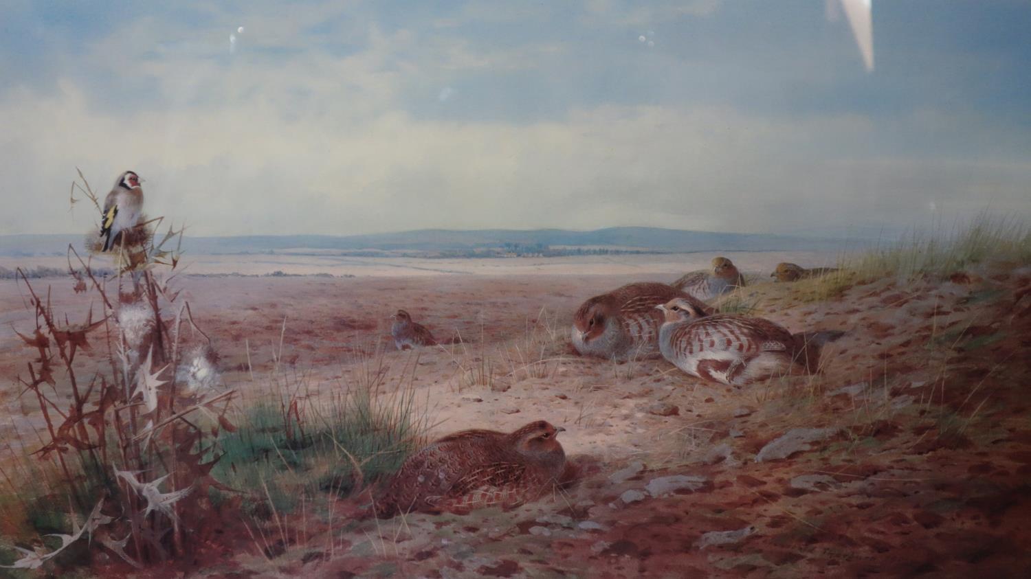 A group of wild grey partridges, reproduction of a watercolour, signed, framed and glazed, 59 x 84