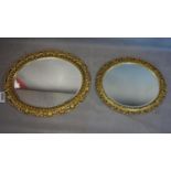 Two oval gilt mirrors