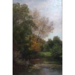 19th century British artist, the pond, oil on canvas, 59 x 39 cm