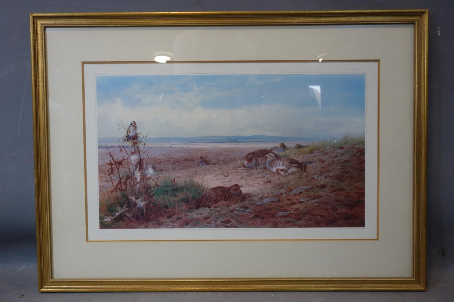 A group of wild grey partridges, reproduction of a watercolour, signed, framed and glazed, 59 x 84 - Image 2 of 3