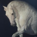 Contemporary British artist Huw Williams, 'Equus', digital print on panel, signed and numbered,