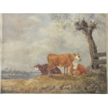 AN UNSIGNED UNFRAMED WATERCOLOUR DEPICTING CATTLE RESTING BY A TREE IN THE STYLE OF SIDNEY COOPER