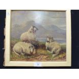 A FRAMED OIL ON BOARD DEPICTING SHEEP RESTING IN A MOUNTAINOUS LANDSCAPE ATTRIBUTED TO ALF MORRIS