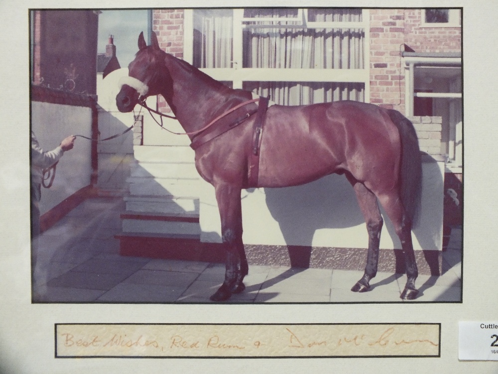 A FRAMED AND GLAZED PHOTOGRAPH OF RED RUM COMPLETE WITH SIGNATURE 'BEST WISHES RED RUM AND DON