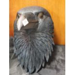 A LARGE RESIN WALL HANGING RAVEN HEAD MASK