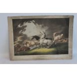 HOWITT - A COLOURED STIPPLE ENGRAVING entitled "Horses Frightened By Lightening", published by R. J