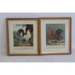 A PAIR OF LUDLOW SIGNED LITHOGRAPHS, depicting chickens signed by Vincent Brooks Day and Son