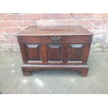 A SMALL ANTIQUE OAK COFFER BACK, early 20th century, the hinged lid above a triple fielded panel