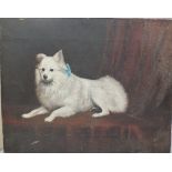 A LATE 19TH / EARLY 20TH CENTURY STUDY OF A WHITE DOG WITH BLUE RIBBON, unsigned, oil on canvas,
