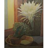 ERNST ROTTEKEN (1882-1945). German school, still life study of a potted cactus by a window, signed