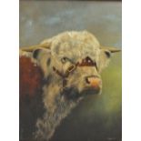 CLIFTON. Part study of a Herefordshire Bull, signed 1982 lower right, oil on board, framed, 44 x